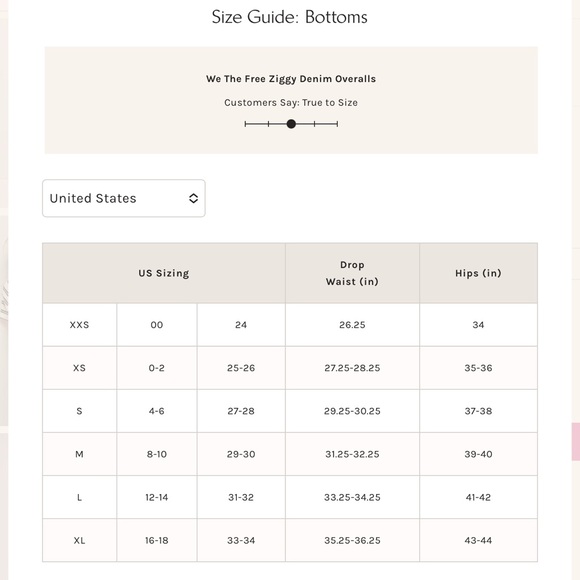 FREE PEOPLE  WE THE FREE  LT WASH BLEU MOON  SLOUCHY ZIGGY DENIM OVERALLS NWT M - Picture 7 of 7